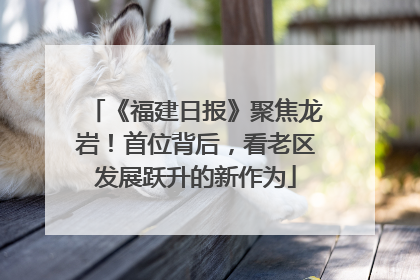 《福建日报》聚焦龙岩！首位背后，看老区发展跃升的新作为