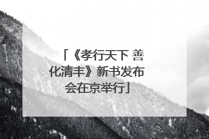 《孝行天下 善化清丰》新书发布会在京举行