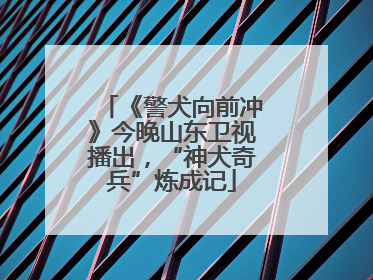 《警犬向前冲》今晚山东卫视播出，“神犬奇兵”炼成记