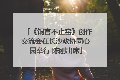 《铜官不止窑》创作交流会在长沙政协同心园举行 陈刚出席