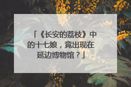 《长安的荔枝》中的十七娘，竟出现在延边博物馆？