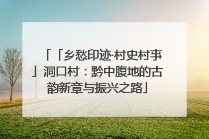 「乡愁印迹·村史村事」洞口村：黔中腹地的古韵新章与振兴之路