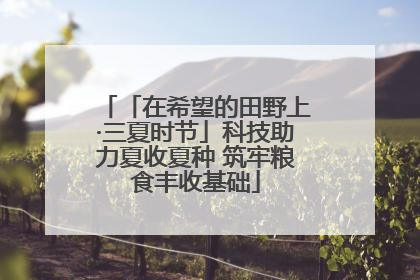 「在希望的田野上·三夏时节」科技助力夏收夏种 筑牢粮食丰收基础