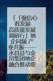「强信心 看发展·高质量发展调研行」地企同频 产业共振——永昌县与金川集团地企融合推动重大项目建设