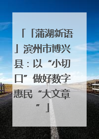 「蒲湖新语」滨州市博兴县：以“小切口”做好数字惠民“大文章”