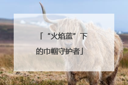 “火焰蓝”下的巾帼守护者