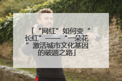 “网红”如何变“长红”——“一朵花”激活城市文化基因的破题之路