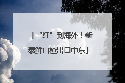 “红”到海外！新泰鲜山楂出口中东