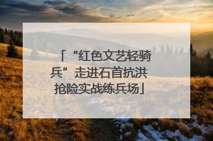 “红色文艺轻骑兵”走进石首抗洪抢险实战练兵场