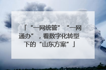 “一网统管”“一网通办”，看数字化转型下的“山东方案”