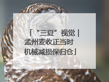 “三夏”视觉｜孟州麦收正当时 机械减损保归仓