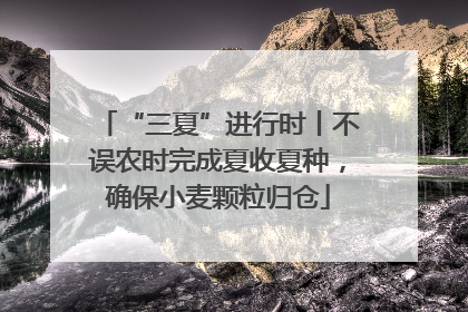 “三夏”进行时丨不误农时完成夏收夏种，确保小麦颗粒归仓