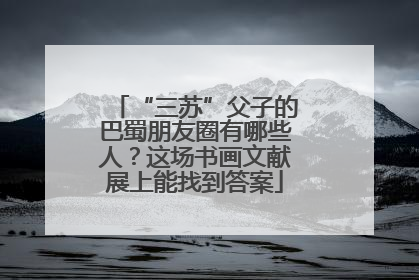 “三苏”父子的巴蜀朋友圈有哪些人？这场书画文献展上能找到答案