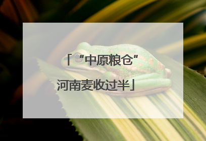 “中原粮仓”河南麦收过半