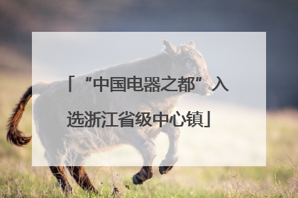 “中国电器之都”入选浙江省级中心镇