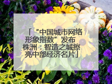 “中国城市网络形象指数”发布 株洲：智造之城擦亮中部经济名片