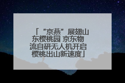 “京燕”展翅山东樱桃园 京东物流自研无人机开启樱桃出山新速度