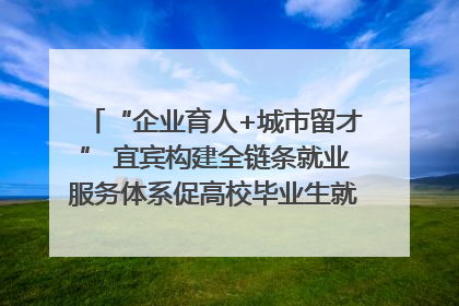 “企业育人+城市留才” 宜宾构建全链条就业服务体系促高校毕业生就业｜您牵挂的四川