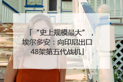 “史上规模最大”，埃尔多安：向印尼出口48架第五代战机