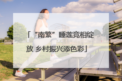 “南繁”睡莲竞相绽放 乡村振兴添色彩
