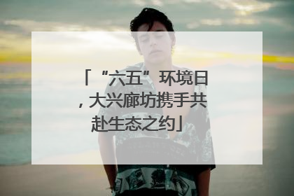 “六五”环境日，大兴廊坊携手共赴生态之约