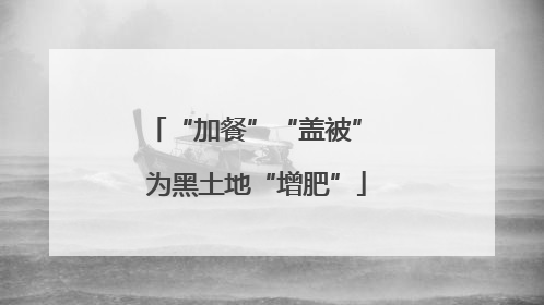 “加餐”“盖被” 为黑土地“增肥”