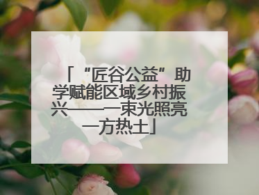 “匠谷公益”助学赋能区域乡村振兴——一束光照亮一方热土