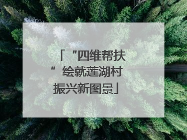 “四维帮扶”绘就莲湖村振兴新图景