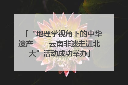 “地理学视角下的中华遗产——云南非遗走进北大”活动成功举办