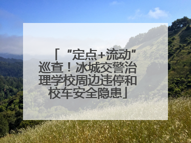 “定点+流动”巡查！冰城交警治理学校周边违停和校车安全隐患