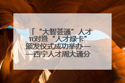 “大智荟通”人才π对暨“人才绿卡”颁发仪式成功举办——西宁人才周大通分会场亮点纷呈
