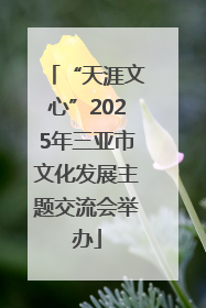 “天涯文心”2025年三亚市文化发展主题交流会举办