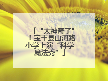 “太神奇了”！宝丰县山河路小学上演“科学魔法秀”