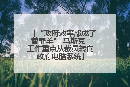 “政府效率部成了替罪羊” 马斯克：工作重点从裁员转向政府电脑系统