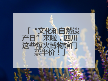 “文化和自然遗产日”来啦，四川这些爆火博物馆门票半价！