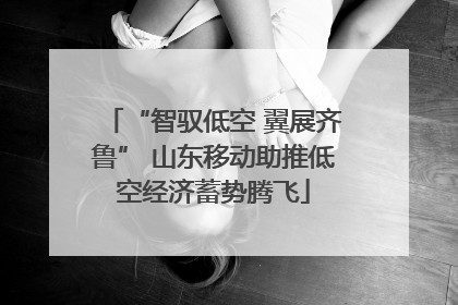 “智驭低空 翼展齐鲁” 山东移动助推低空经济蓄势腾飞