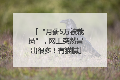 “月薪5万被裁员”，网上突然冒出很多！有猫腻