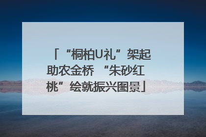 “桐柏U礼”架起助农金桥 “朱砂红桃”绘就振兴图景