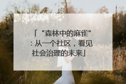“森林中的麻雀”：从一个社区，看见社会治理的未来