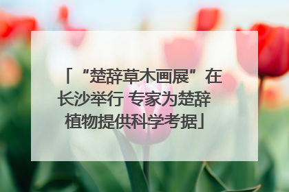 “楚辞草木画展”在长沙举行 专家为楚辞植物提供科学考据