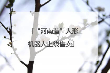 “河南造”人形机器人上线售卖