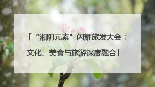 “湘阴元素”闪耀旅发大会：文化、美食与旅游深度融合