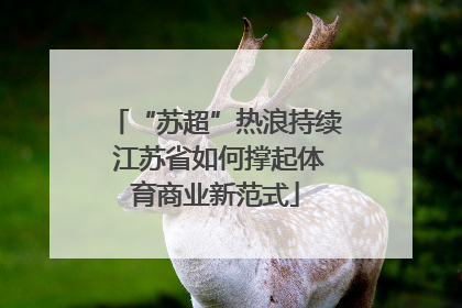 “苏超”热浪持续 江苏省如何撑起体育商业新范式