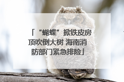 “蝴蝶”掀铁皮房顶吹倒大树 海南消防部门紧急排险