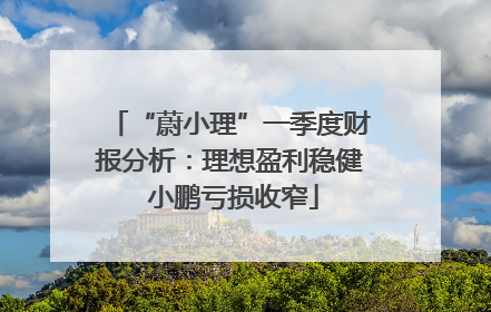 “蔚小理”一季度财报分析：理想盈利稳健 小鹏亏损收窄
