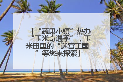 “蔬果小镇”热办“玉米奇遇季”，玉米田里的“迷宫王国”等您来探索