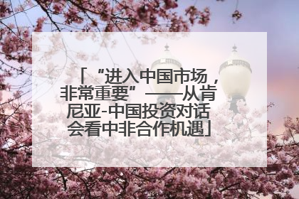 “进入中国市场，非常重要”——从肯尼亚-中国投资对话会看中非合作机遇