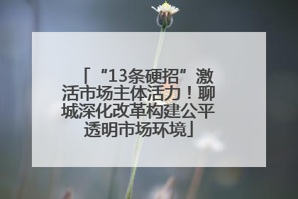 “13条硬招”激活市场主体活力！聊城深化改革构建公平透明市场环境