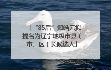 “85后”郑皓元拟提名为辽宁地级市县（市、区）长候选人
