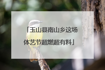 玉山县南山乡这场体艺节超燃超有料